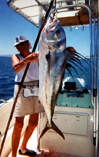 Vag Dorothe Silveria encountered this 50# roosterfish off Punta Chivato this Year.