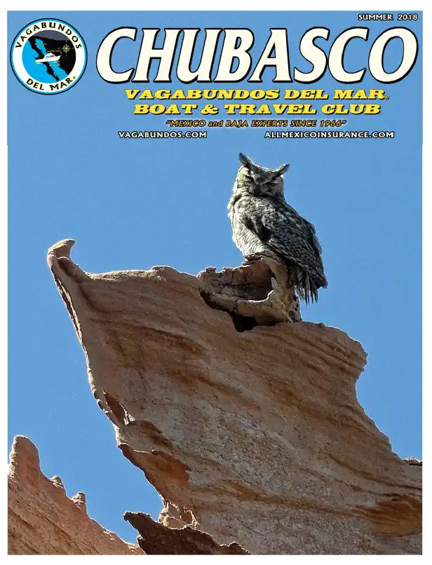 2018-sum 8 Magazine cover featuring a great horned owl perched on a jagged rock against a blue sky. Text reads 'CHUBASCO' and 'SUMMER 2018'.