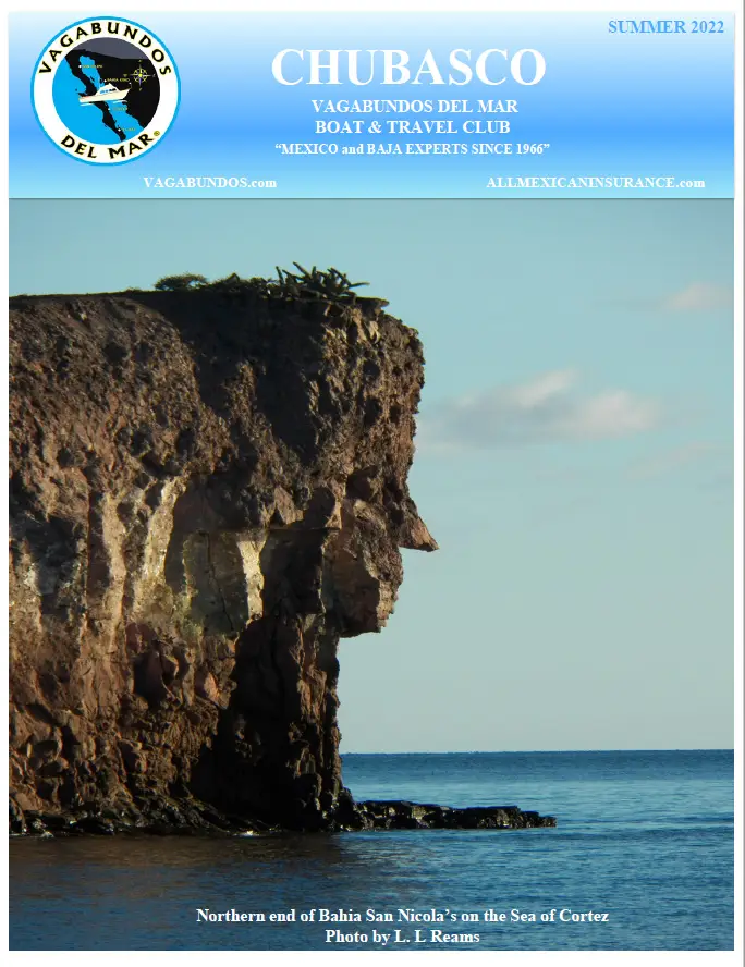 2022-sum 1 Magazine cover showing a rugged, reddish-brown cliff face resembling a human profile overlooking the calm blue Sea of Cortez under a clear sky.