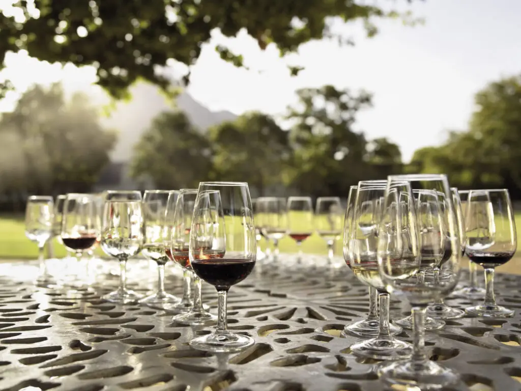 Wine glasses with red and white wine on a patterned metal table outdoors, with blurred green trees and sunlight in the background.