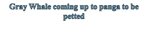 ACTIVITY-SPECIAL-2024 6 p01 caption4