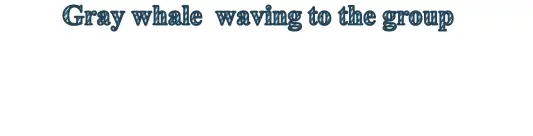 ACTIVITY-SPECIAL-2024 10 p01 caption6