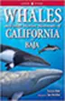 Book cover for 'WHALES and other marine mammals of CALIFORNIA BAJA' featuring a large light blue whale, a black and white whale, and a leaping dolphin against a blue ocean background.