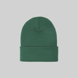 A dark green knitted beanie with a folded cuff, centered on a light gray background.
