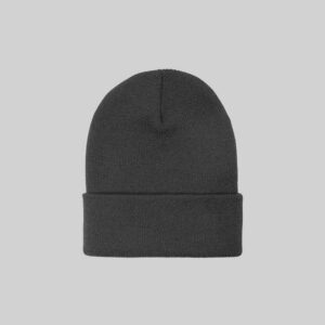 A plain dark grey knitted beanie with a folded cuff, centered on a light grey background.