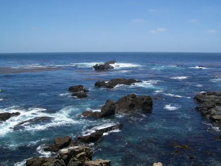 The Pacific Surf Run 1 Rocky Pacific reef coastline with kelp and blue water, Baja California