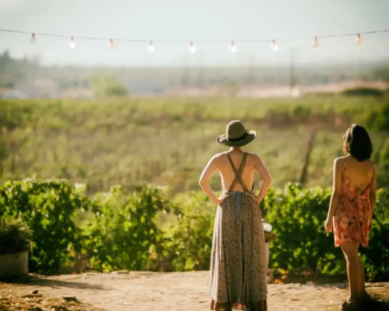 Valle de Guadalupe Wine Loop 1 Two visitors overlooking a Valle de Guadalupe vineyard at golden hour