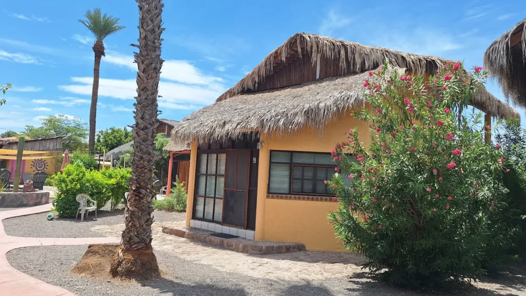 El Palmar Casa — Club Rental in Loreto 1 A yellow bungalow with a thatched roof, pink flowering bush, and tall palm trees under a blue sky.