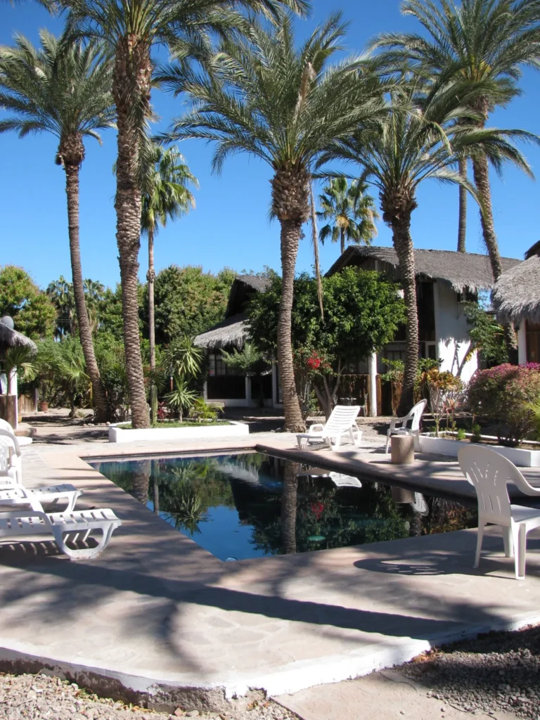 El Palmar Casa — Club Rental in Loreto 9 An outdoor swimming pool surrounded by tall palm trees, white lounge chairs, and buildings with thatched roofs under a clear blue sky.